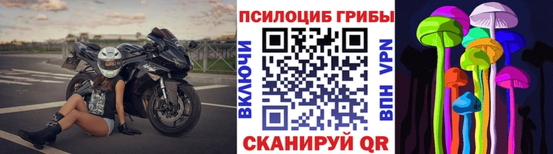 OMG маркетплейс Ак-Довурак Псилоцибиновые грибы GOLDEN TEACHER где можно купить